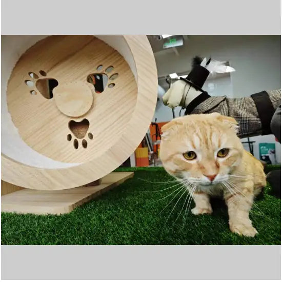 Premium Thick Realistic Fake Grass - All-Season Lawn Roll